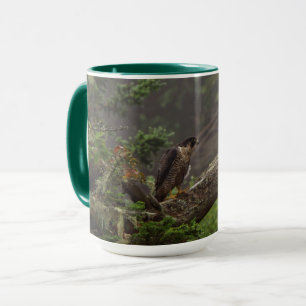 Fall - Peregrine Falcon Mugg