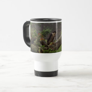 Fall - Peregrine Falcon Resemugg