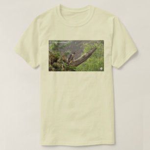 Fall - Peregrine Falcon Tee Shirt