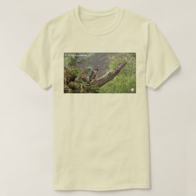 Fall - Peregrine Falcon Tee Shirt (Design framsida)