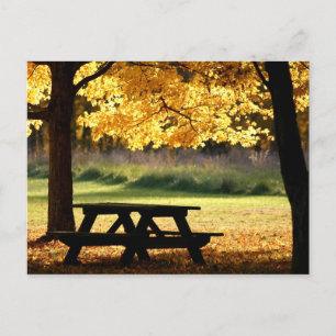 Fall picnic vykort