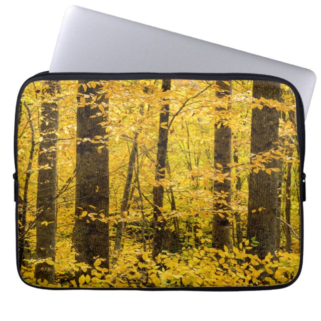 Fall Pisgah National Forest Laptop Fodral (Framsidan)