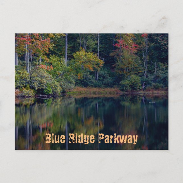 Fall Pond-reflektioner Vykort (Framsida)