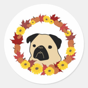 Fall Pug med Löv, pumpor och solblommor Runt Klistermärke