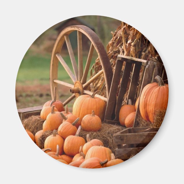Fall Pumpkin Harvest Magnet (Framsidan)