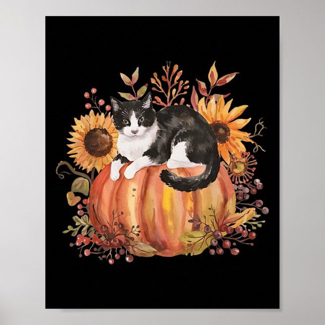 Fall Pumpkin Tuxedo Cat Solros Thanksgiving Sok Poster (Framsidan)