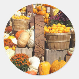 Fall Pumpkins Glossy Stickers Runt Klistermärke