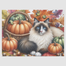Fall Pumpkins Höst löv Ragdoll Cat