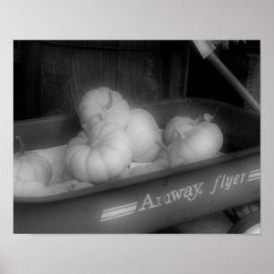 Fall Pumpkins in Wagon Black White Photo Print Poster