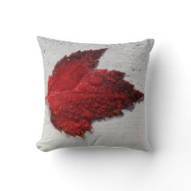 Fall Red Maple Löv på White Wood