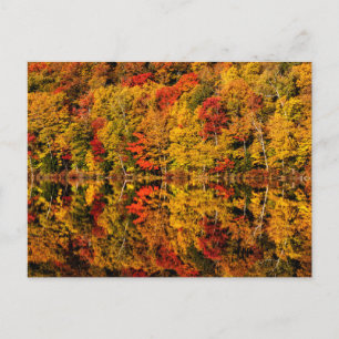 Fall Reflection on Russell Pond New Hampshire Vykort