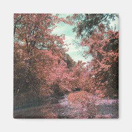 Fall Scenia Väg Magnet