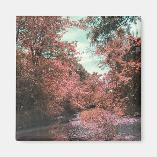 Fall Scenia Väg Magnet