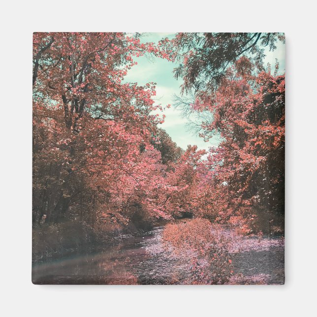 Fall Scenia Väg Magnet (Framsidan)
