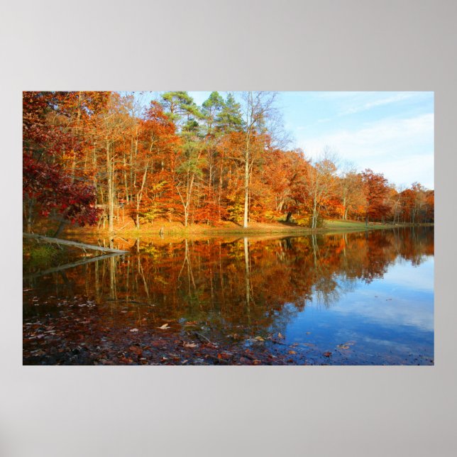 Fall Sjö Poster (Framsidan)