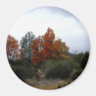 Fall skönhet... magnet