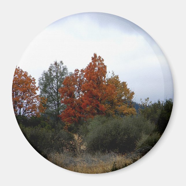 Fall skönhet... magnet (Framsidan)