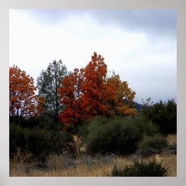 Fall skönhet... poster (Framsidan)