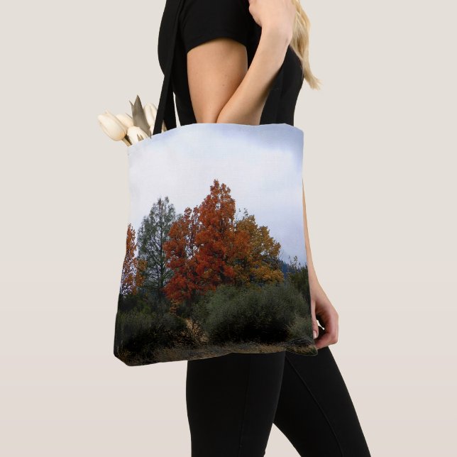 Fall skönhet... tygkasse (Närbild)