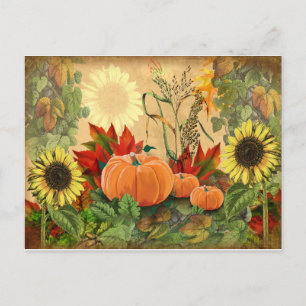 Fall Solros Pumpkin Autumn Vykort