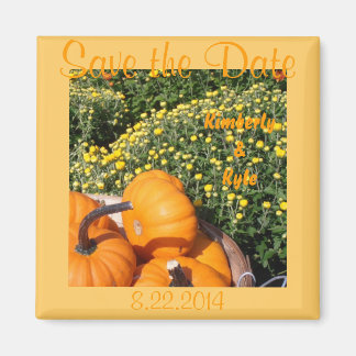 Fall Spara datum magneter