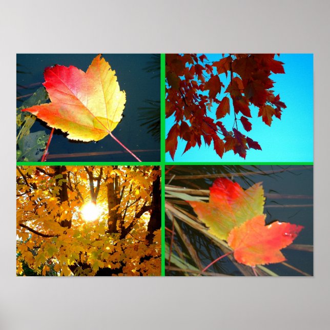 Fall Splendor Poster (Framsidan)