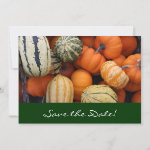 Fall Squash Harvest Spara datumkortet Datumet