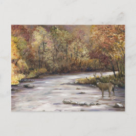 Fall Stream Art-vykort Vykort