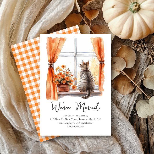 Fall Tabby katt | Vi har flyttat Ny adress Meddelande (Skapare uppladdad)