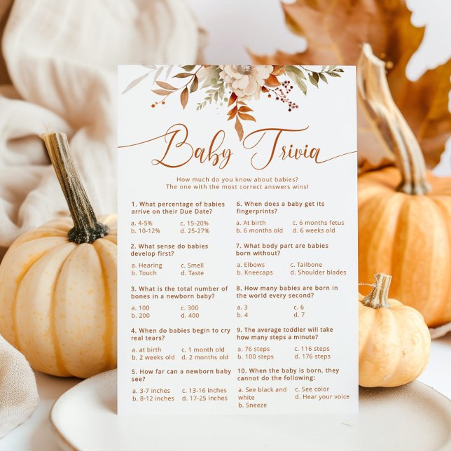 Fall terracotta baby trivia-spel (Skapare uppladdad)