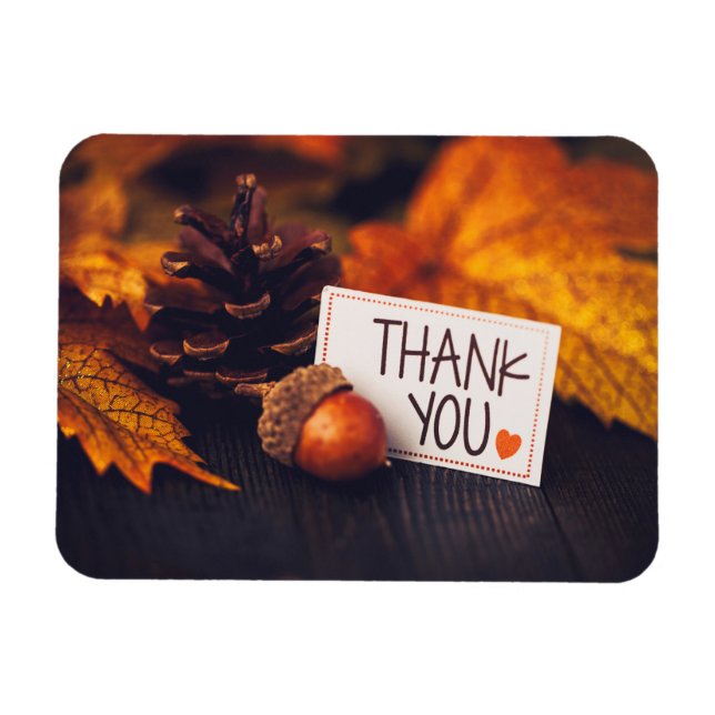 Fall Thanksgiving Fotography Pumpkin Photography Magnet (Horisontell)