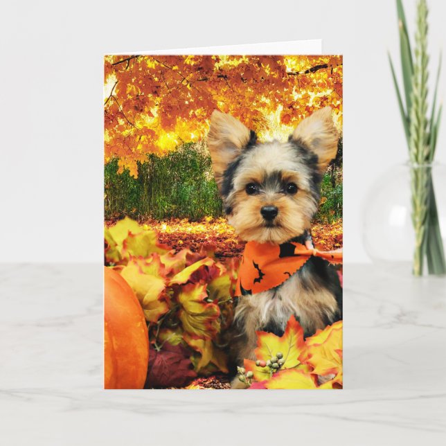 Fall Thanksgiving - Max - Yorkie Helgkort (Framsida)