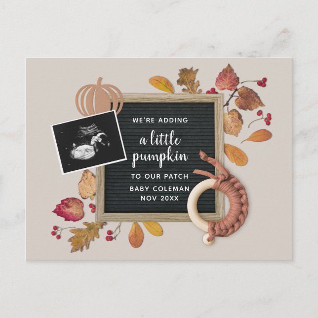 Fall Thanksgiving Pumpkin Baby Gravid Birth Ann Helg Vykort (Framsida)