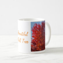 Fall Träd Bild |