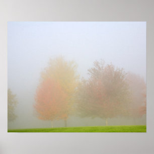 Fall träd höljd i dimma poster