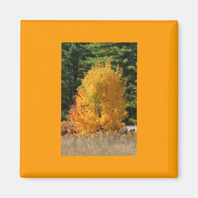 Fall Träd Magnet (Framsidan)