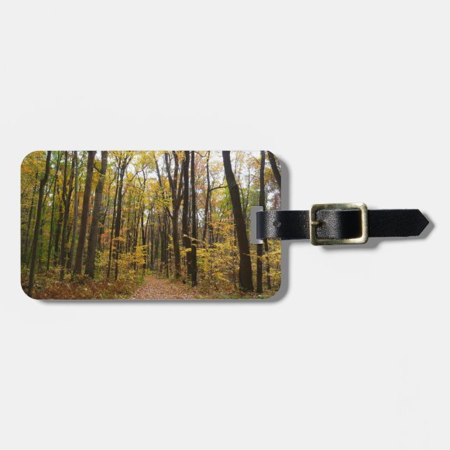 Fall Trail och Golden Löv i Laurel Backe Park Bagagebricka (Horisontell Framsida)