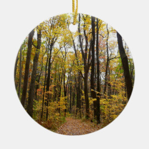 Fall Trail och Golden Löv i Laurel Backe Park Julgransprydnad Keramik