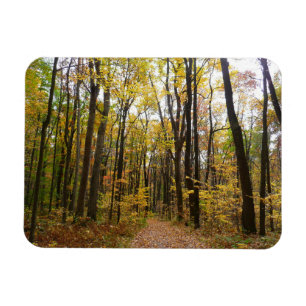 Fall Trail och Golden Löv i Laurel Backe Park Magnet