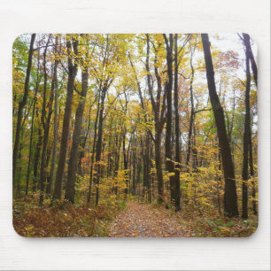 Fall Trail och Golden Löv i Laurel Backe Park Musmatta