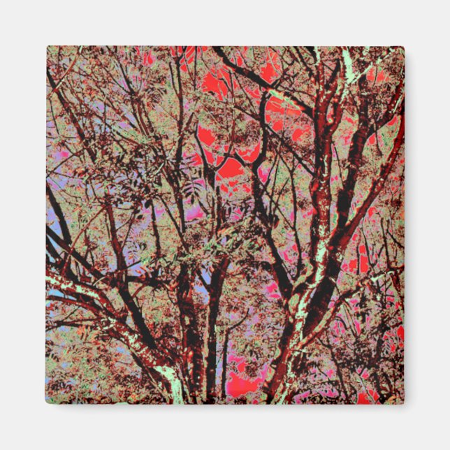 FALL TREES MAGNET (Framsidan)