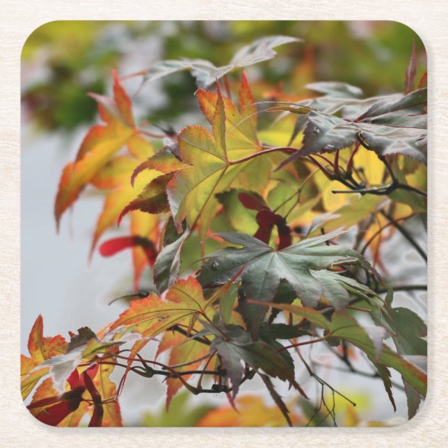 Fall Underlägg Papper Kvadrat (Framsidan)