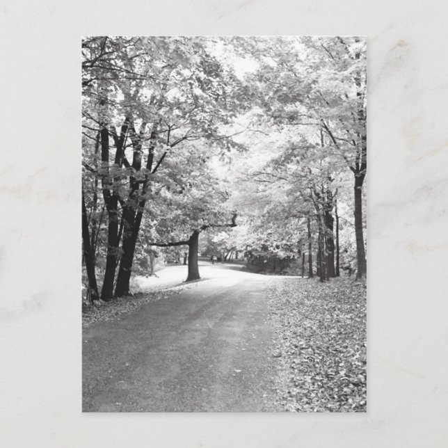 Fall Väg Vykort (Framsida)