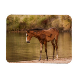 Fall vid floden magnet