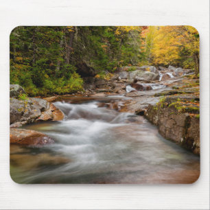 Fall vid Jefferson Brook, New Hampshire Musmatta