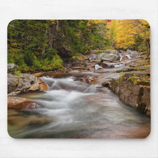 Fall vid Jefferson Brook, New Hampshire Musmatta (Framsidan)