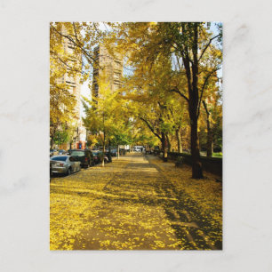 Fall vid parkens vykort