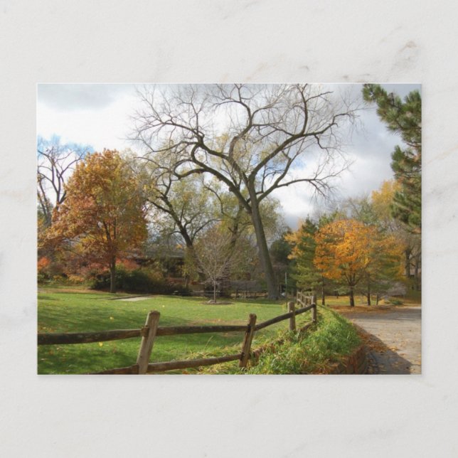 Fall Vykort (Framsida)