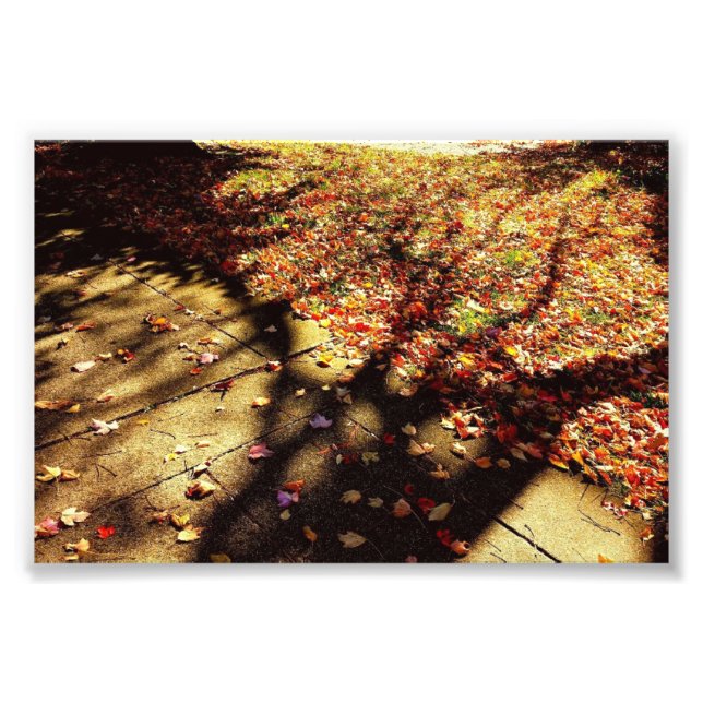 Fall Walk Fototryck (Framsidan)