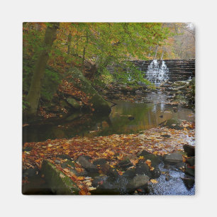 Fall Waterfall och Bäck Pennsylvania Nature Magnet